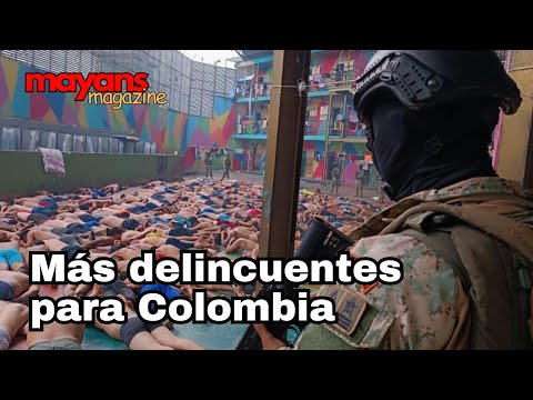 Ecuador enviará 1500 presos colombianos a Colombia