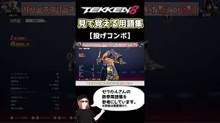 【鉄拳8】見て覚える用語集【投げコンボ】