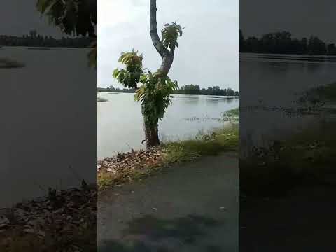 đoạn đường đẹp