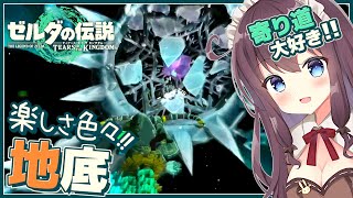 【ティアキン】自由な世界で寄り道大好き！初見【ゼルダの伝説ティアーズオブザキングダム 女性実況 Vtuber なちゅモカ】117
