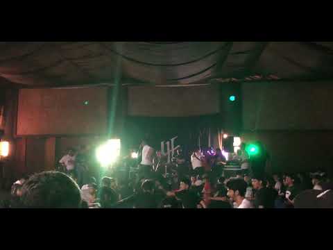 ZIP - Bastard Brew feat alvin “Live at hustedfest vol.4”