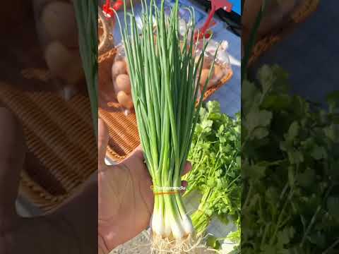 เกษตรผสมผสานดีที่เรามีกินมีขาย