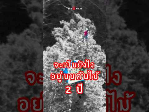 จูเลียฮิลล์:ยอมใช้ชีวิตบนต้