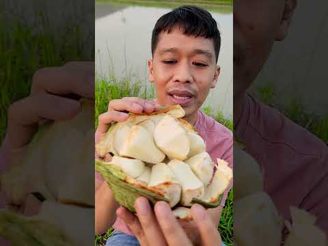 โคล่านัทต้นตำรับน้ำอัดลมโคล่า