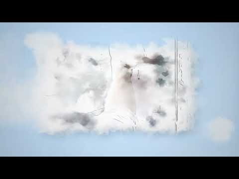 ودّع الأوساخ و البكتيريا ... واستقبل النظافة بقوة البخار!