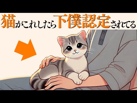 猫の動画サムネイル - 【飼い主を“下僕認定“した猫がする行動】 猫の雑学 #猫 #ねこ