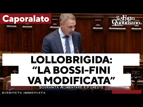 Caporalato, Lollobrigida: “Norma Bossi-Fini datata, va modificata”. E attacca i precedenti governi