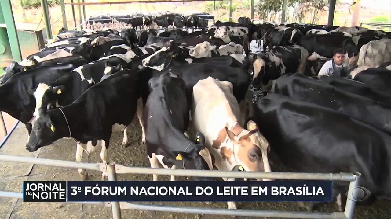 Brasil sedia Fórum Nacional do Leite para discutir desafios do setor