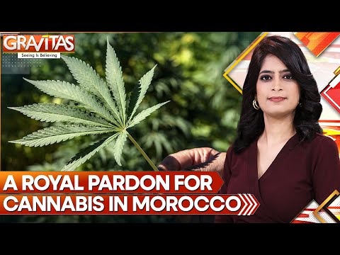 Morocco's King Pardons 5,000 Cannabis Farming Convicts | Gravitas
