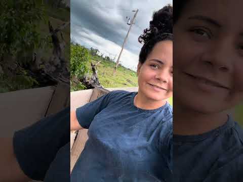 14 de outubro de 2025