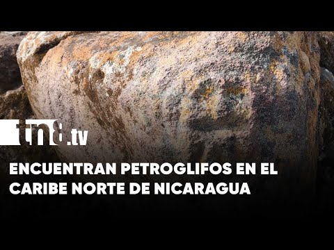 ¡Impresionante! Encuentran petroglifos en el Caribe Norte de Nicaragua