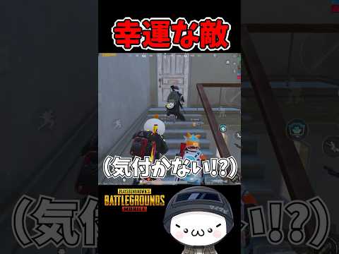無防備だけど幸運な敵ｗ【PUBGモバイル】 #pubgmobile     #pubgモバイル     #shorts