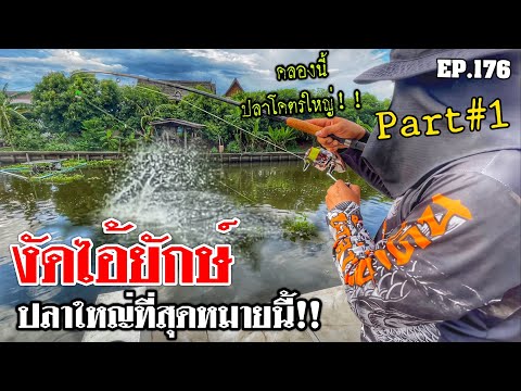 🎣🐠-We-are-Angler-EP:176-part1“ 🎣🐠-We-are-Angler-EP:176-part1“