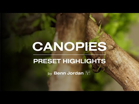 Canopies - Preset Highlights