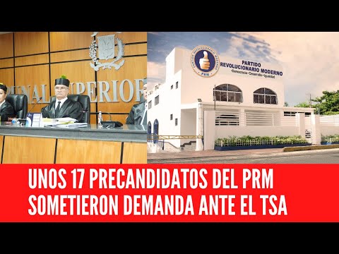 UNOS 17 PRECANDIDATOS DEL PRM SOMETIERON DEMANDA ANTE EL TSA