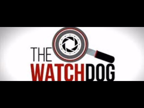 The Watchdog: 15 March 2022