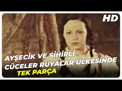 FILM BRIGITTA BULGARI SCARICA