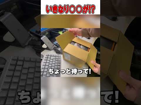 PAD世界最強が使うあれが届きました...🫢【フォートナイト / Fortnite】#shorts