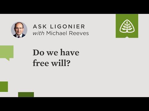 Do we have free will?