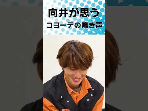 猫の動画サムネイル - Snow Man official【コヨーテの鳴き声】みなさん知ってますか？？？