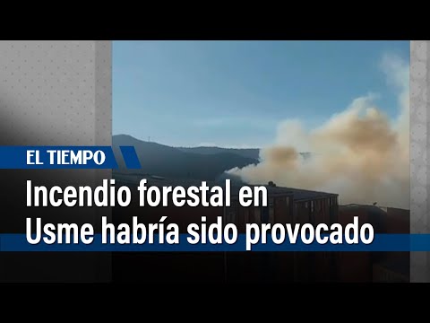 Incendio forestal en Usme habría sido provocado | El Tiempo