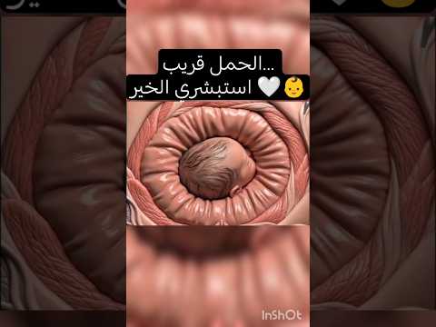 #shorts #fyp #viral #explore #foryou #اكسبلور #ترند #trending