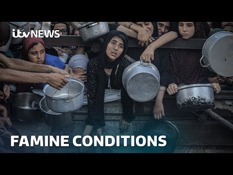 'Man-made mass starvation' gripping Gaza and killing children, WHO says | ITV News