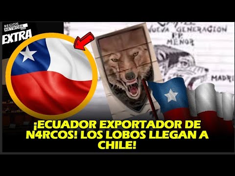 ¡ECUADOR EXPORTADOR DE N4RCOS! LOS LOBOS LLEGAN A CHILE!