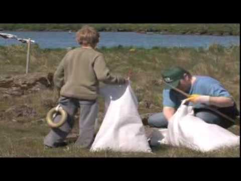 Icelandic Eiderdown - Japanese