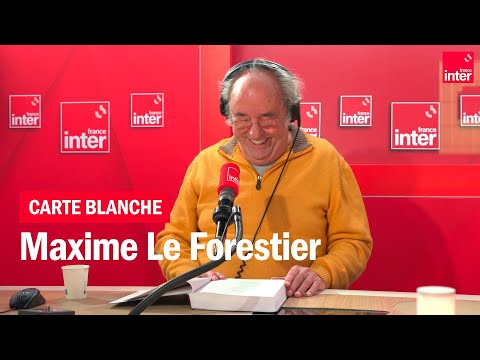 Maxime Le Forestier dit Brassens