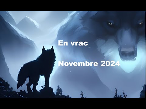 En Vrac - Novembre 2024