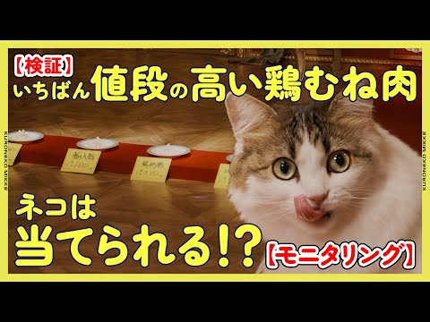 【検証】ネコはいちばん値段の高い鶏むね肉を当てることができるのか！？【モニタリング】