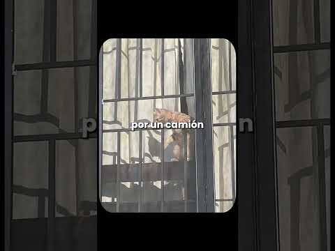 Información que cura. 💅🧠✨