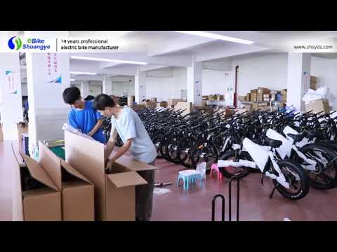 Shuangye electric bike factory