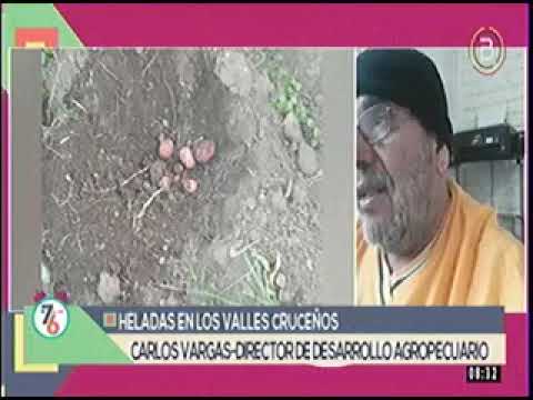 14062022 CARLOS VARGAS HELADAS EN LOS VALLES CRUCEÑOS BOLIVIA TV