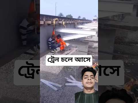 A disabled duckling helps his cat friend🐥#DuckRescue #CuteAnimal #AnimalRescue