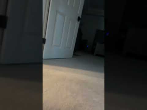 it’s perfffff! #viral