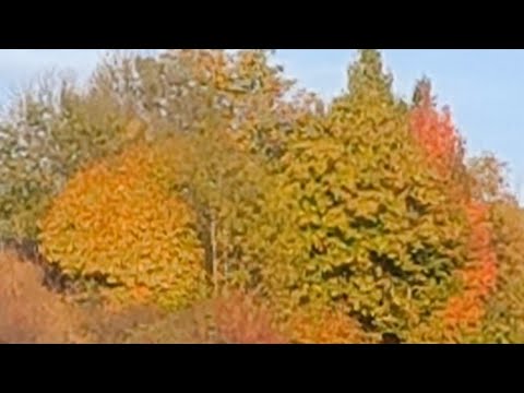 запрошую поспілкуватися друзі