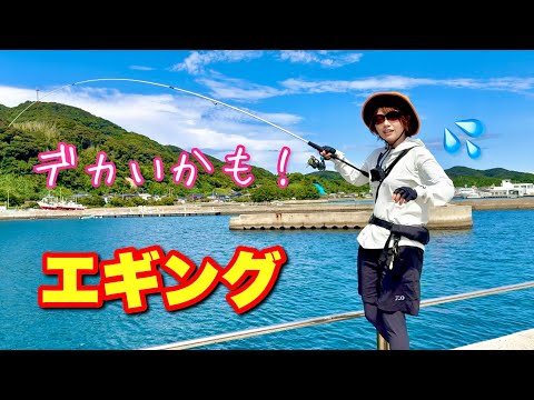 世界遺産「神宿る島」でエギング!みっぴの釣り旅【宗像編】