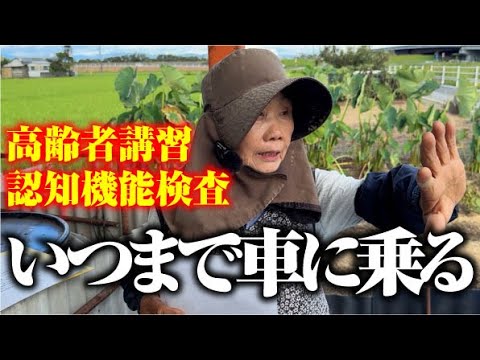 【ふくろう並みの視力】講習に行ってきました【運転免許高齢者講習】