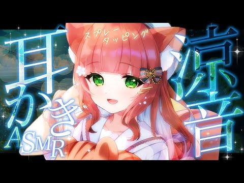 【ASMR/耳かき】冷たい感覚の耳いじりと耳かき【VTuber/耳かきボイス /こりす】