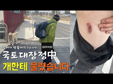 [국토대장정] 개한테 물렸습니다...,걸어서 땅끝까지 EP.09