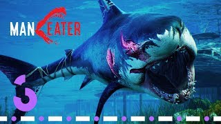 Vido-Test : TEST MANEATER : Requin Simulator