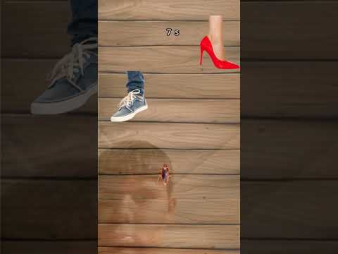 ay niye bizi takip ediyor