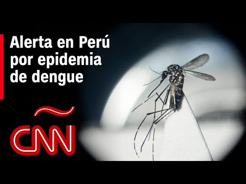 Alerta sanitaria en Perú por la epidemia de dengue
