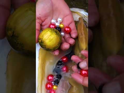 There are too many pearls in this clam