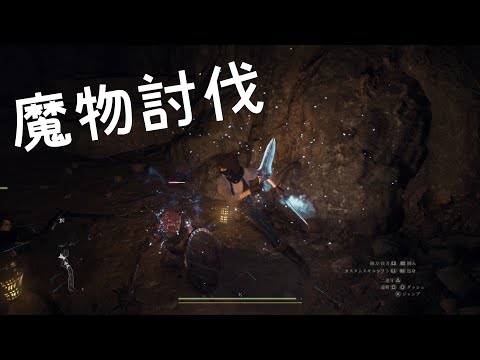 魔物討伐クエストでゴブリンの討伐と輸送部隊の捜索を行う【ドラゴンズドグマ2】