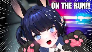 Bunny Girl Goes Drink Driving (˶ˆᗜˆ˵)