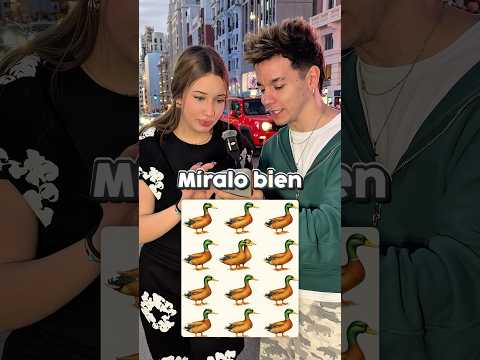 Cuantos PATOS hay en esta IMAGEN? 🤔🦆