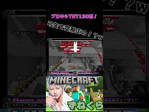 TNT弓矢で打ったら空飛ぶの！？w #マイクラ #やっぱり和音だねウィーウィー #minecraft #マインクラフト #shorts